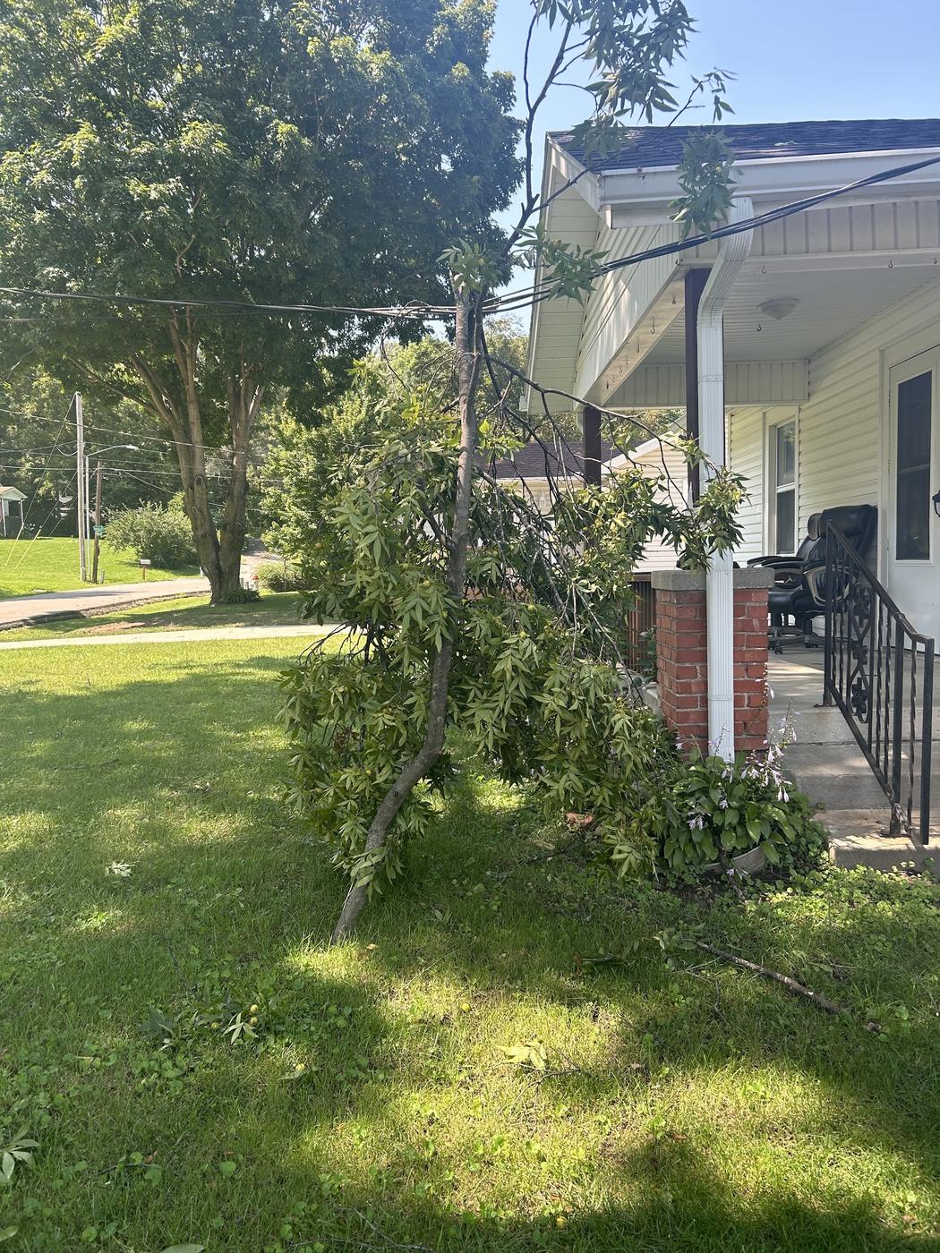 A broken limb resting against the porch of a house